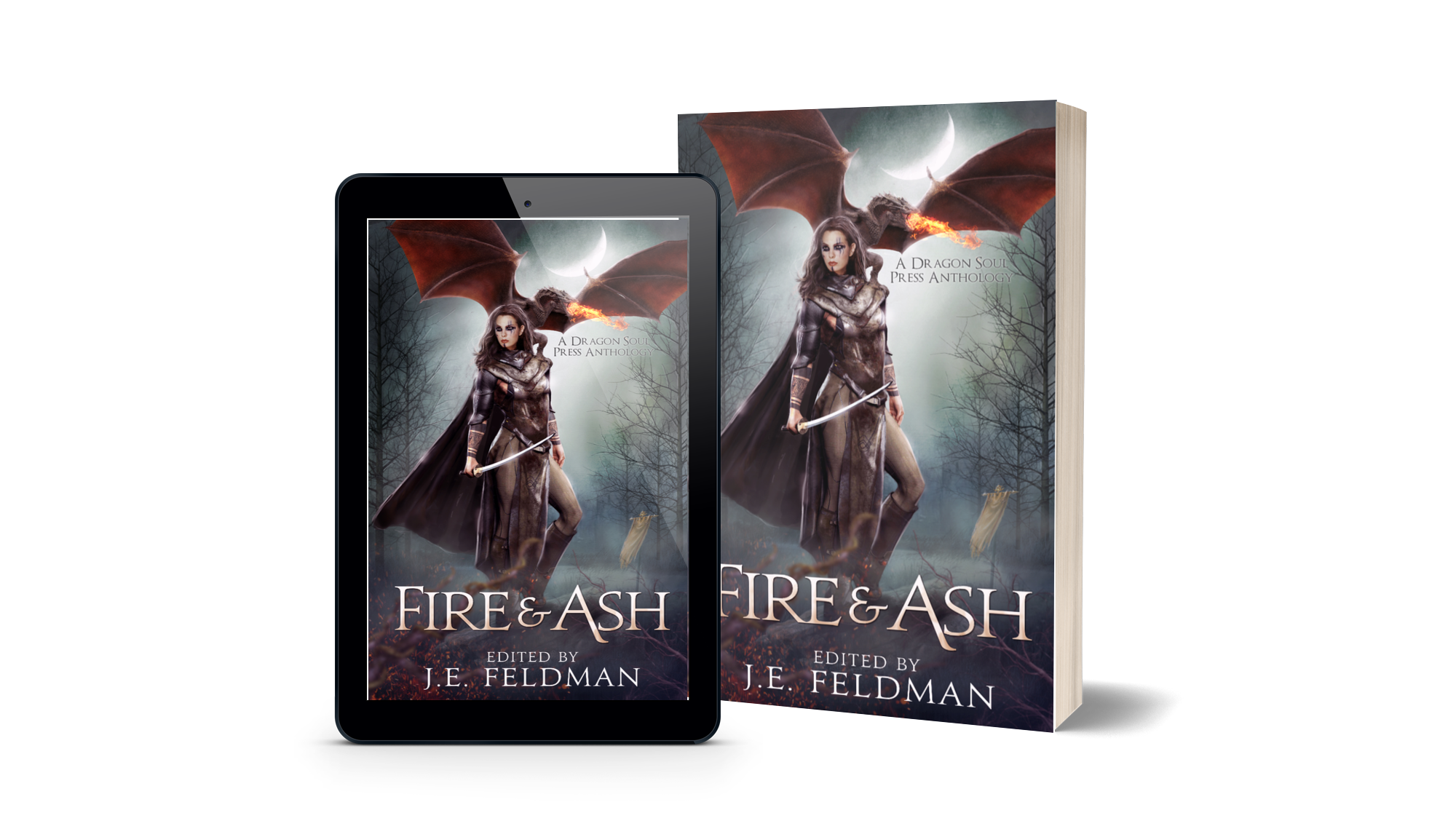 Fire and Ash 3D book mockup